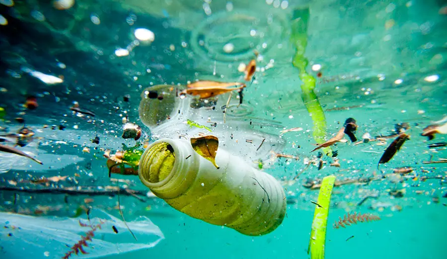 Water and Plastic Pollution illustration